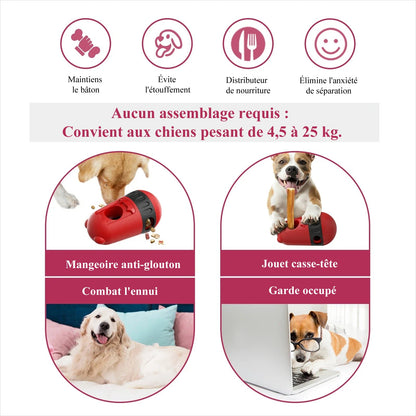 Jouet interactif pour Chien - TwoPratico™ - Le Palais Canin