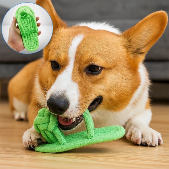 Jouet pour Chien - ExoticSandal™ - Palais Canin