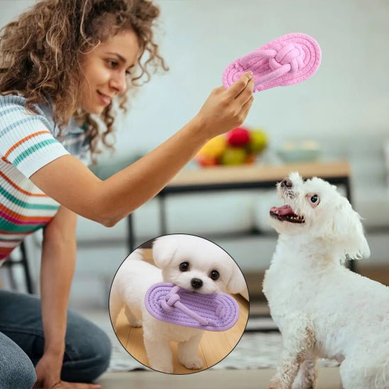 Jouet pour Chien - ExoticSandal™ - Palais Canin