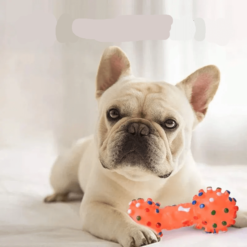 Jouet pour Chien - SuperSqueaker™ - Palais Canin