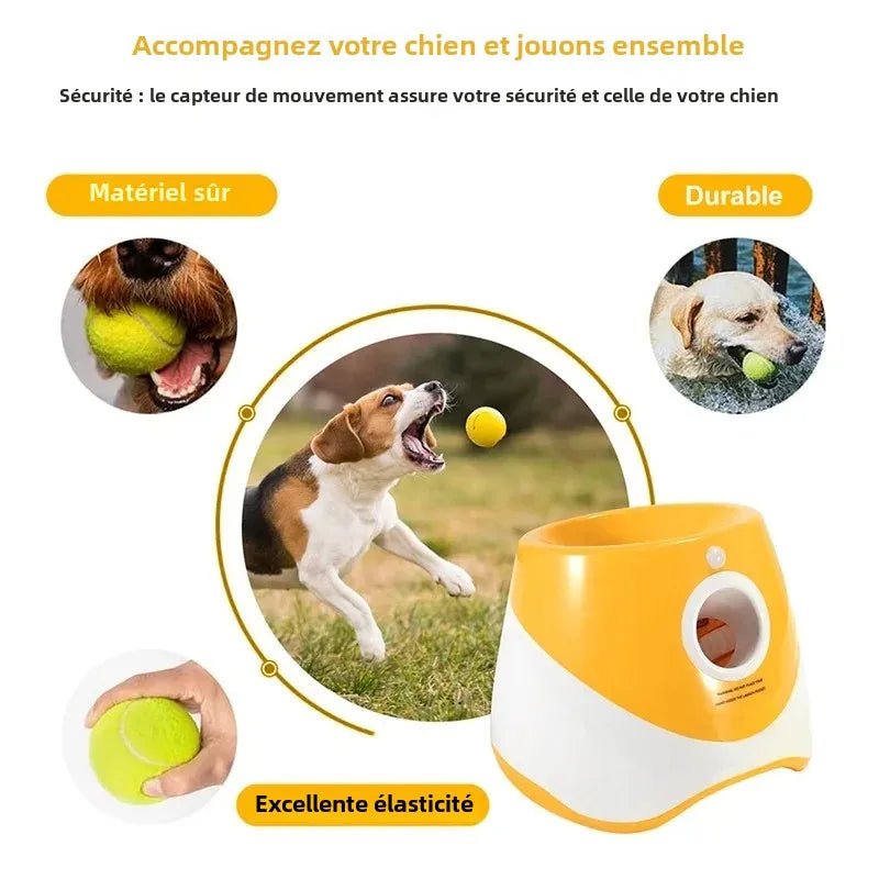 Lanceur de Balle pour Chien - PlayerDog™ - Palais Canin