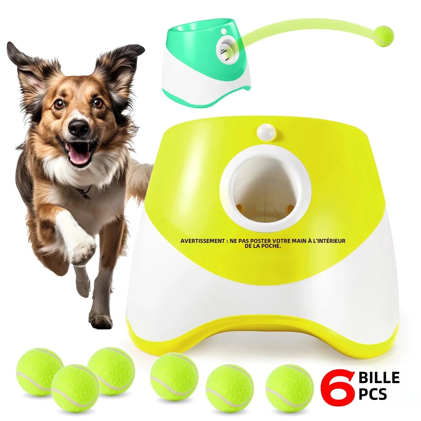 Lanceur de Balle pour Chien - PlayerDog™ - Palais Canin