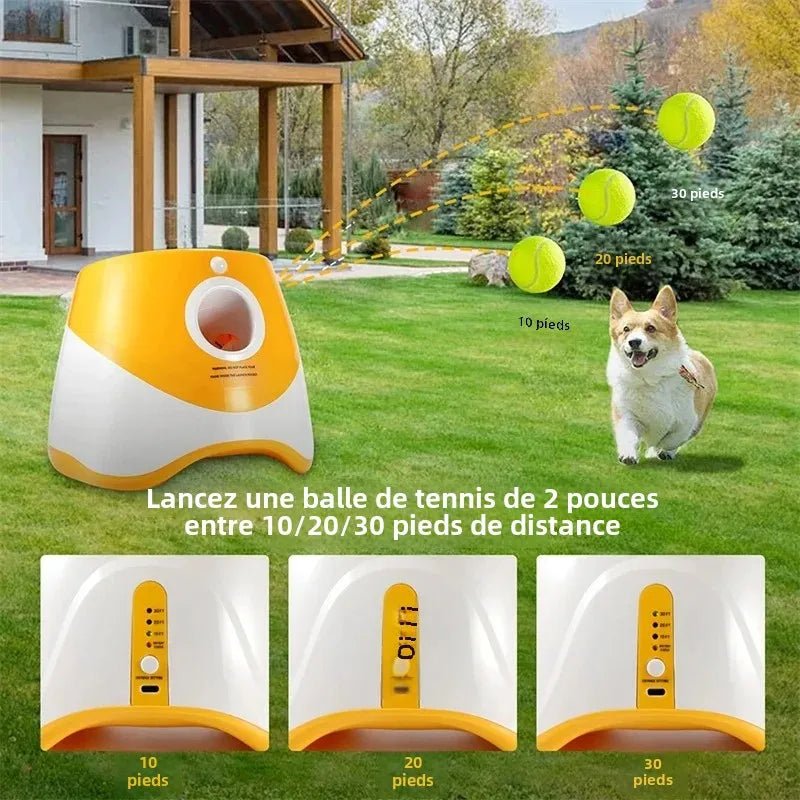 Lanceur de Balle pour Chien - PlayerDog™ - Palais Canin