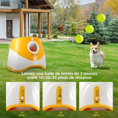 Lanceur de Balle pour Chien - PlayerDog™ - Palais Canin