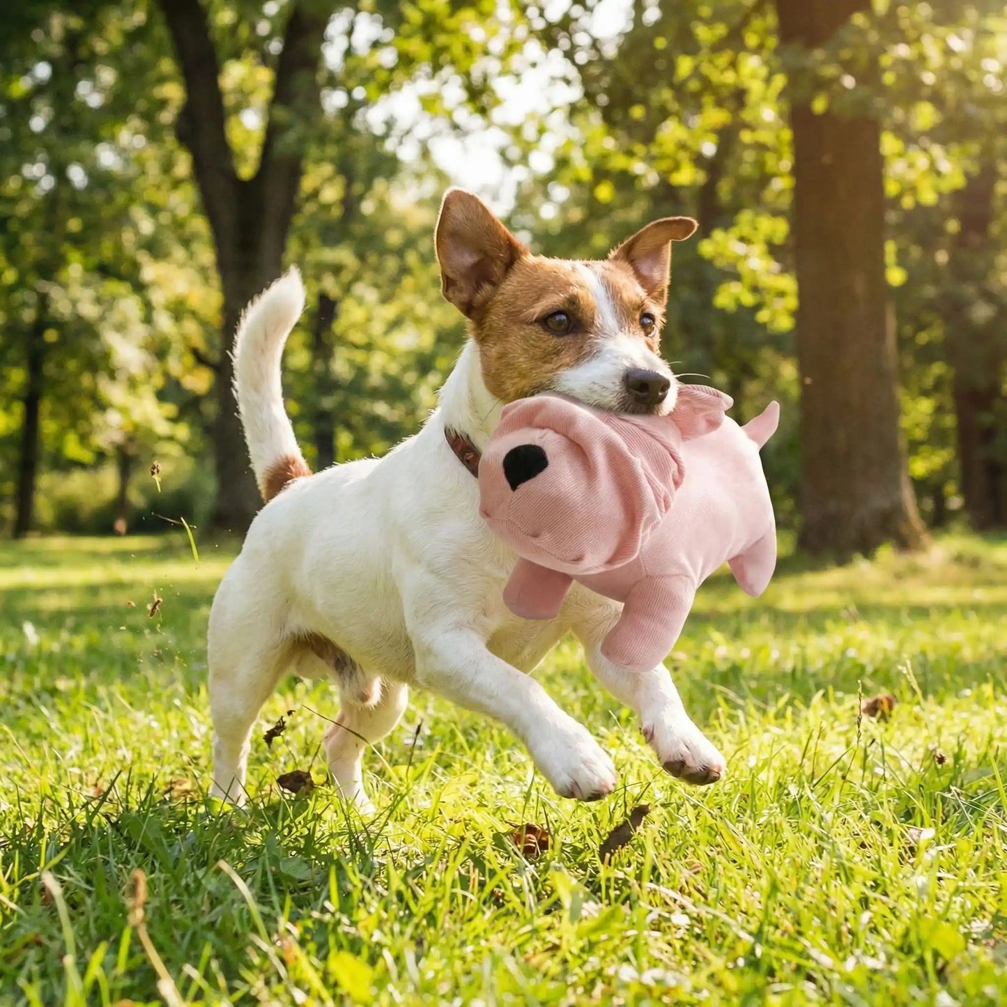 Peluche pour Chien - SweetBuldog™ - Palais Canin