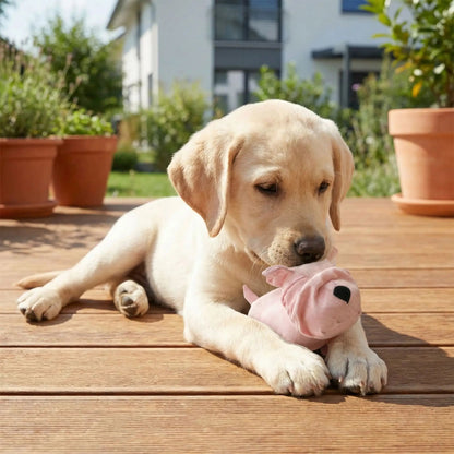 Peluche pour Chien - SweetBuldog™ - Palais Canin