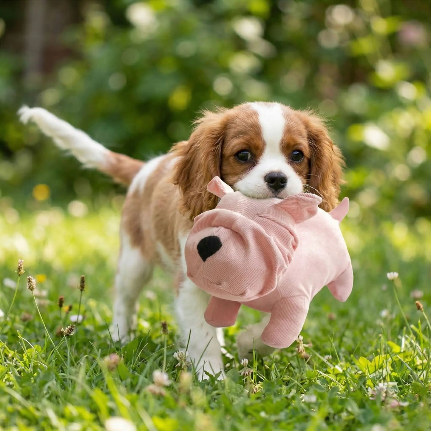 Peluche pour Chien - SweetBuldog™ - Palais Canin