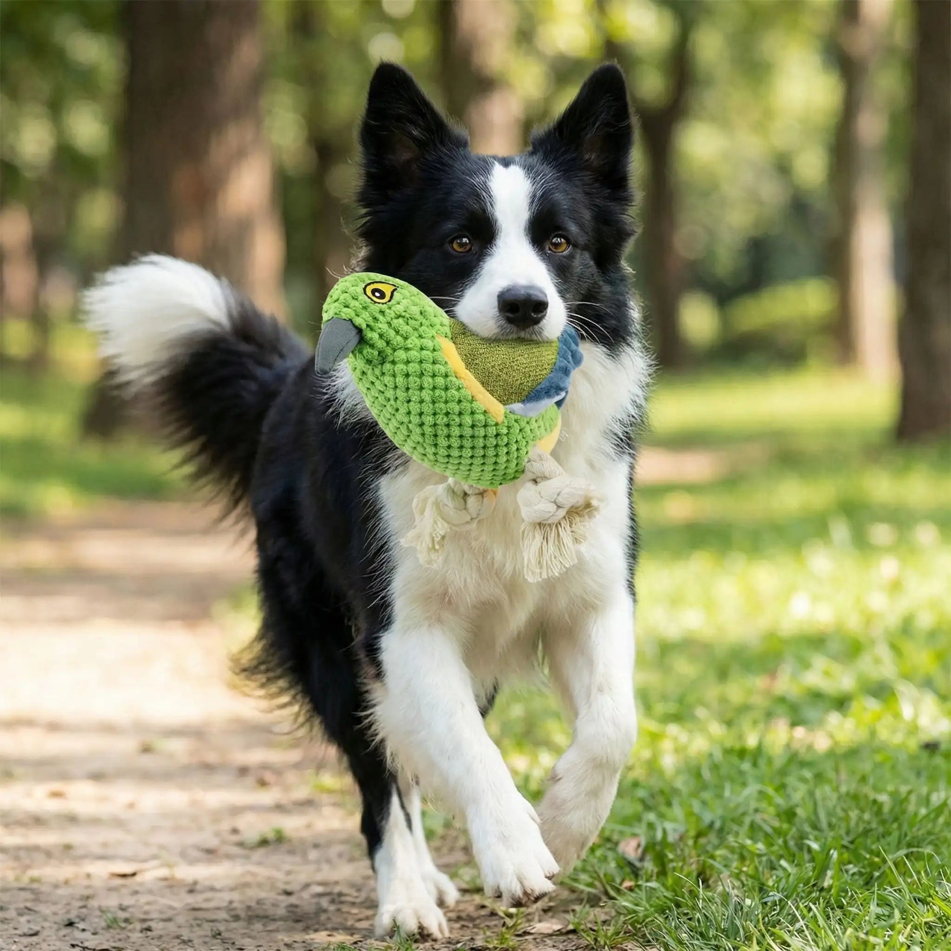 Peluche pour Chien - SweetParrot™ - Palais Canin