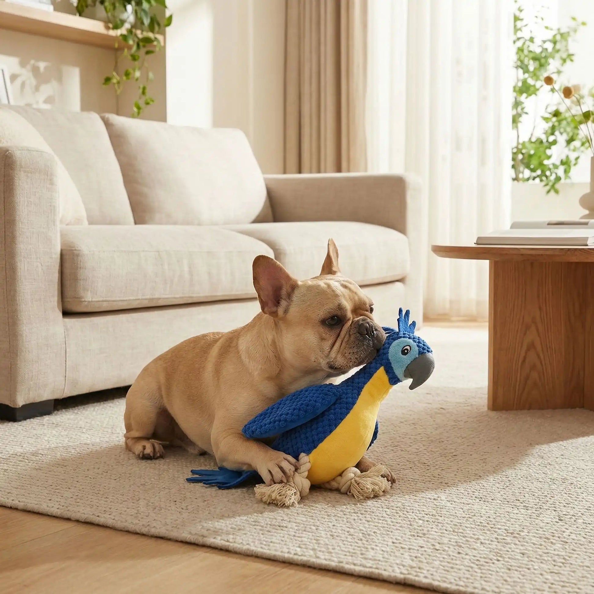 Peluche pour Chien - SweetParrot™ - Palais Canin