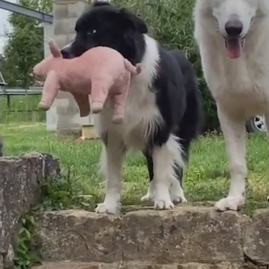 Peluche Cochonou : Le Jouet Anti-Stress Ultime pour Votre Chien