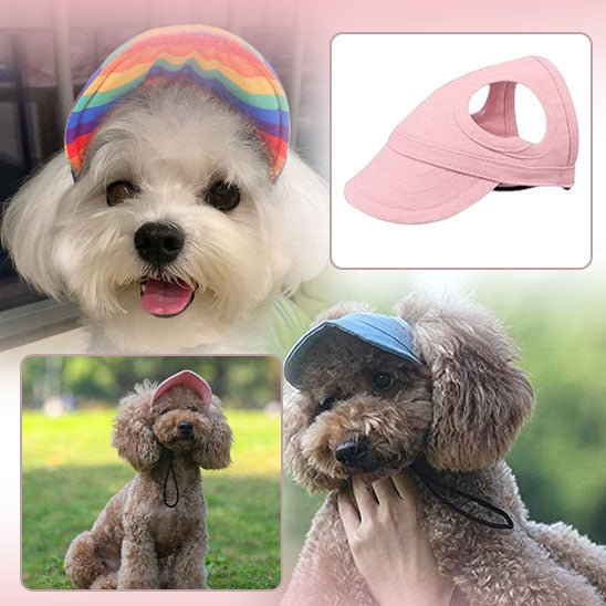 CASQUETTE CHIEN - Casketdog - Palaiscanin