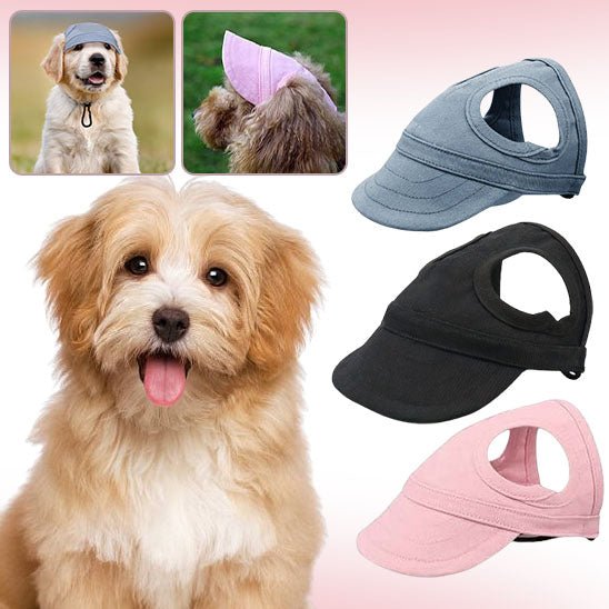 CASQUETTE CHIEN - Casketdog - Palaiscanin