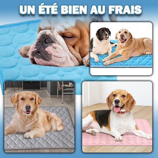 TAPIS POUR CHIEN RAFRAICHISSANT - freshness - Palaiscanin