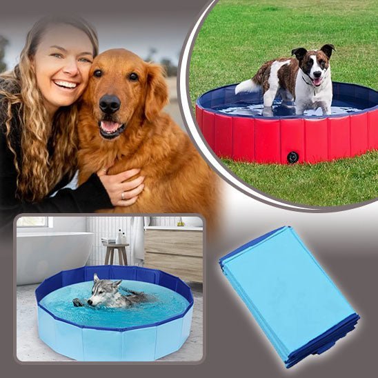 PISCINE POUR CHIEN - Aquadog - Palaiscanin