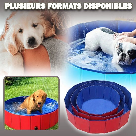 PISCINE POUR CHIEN - Aquadog - Palaiscanin