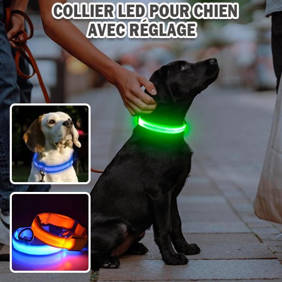 Collier Chien Lumineux | MAGICFLUO™ pour Sécurité Nocturne Optimale - Palaiscanin