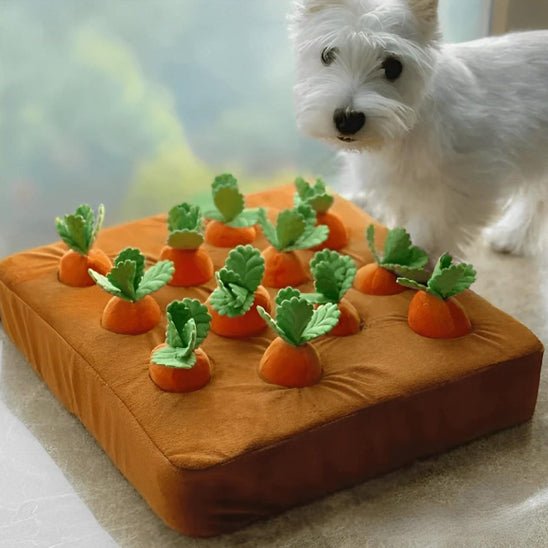 Tapis de Fouille - CarrotCake™ - Le Palais Canin