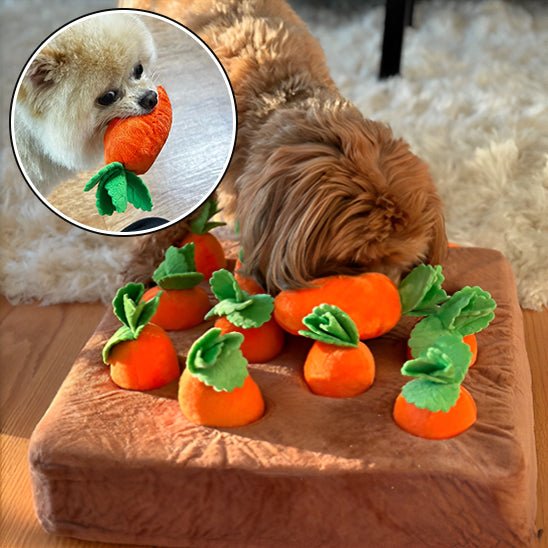 Tapis de Fouille - CarrotCake™ - Le Palais Canin